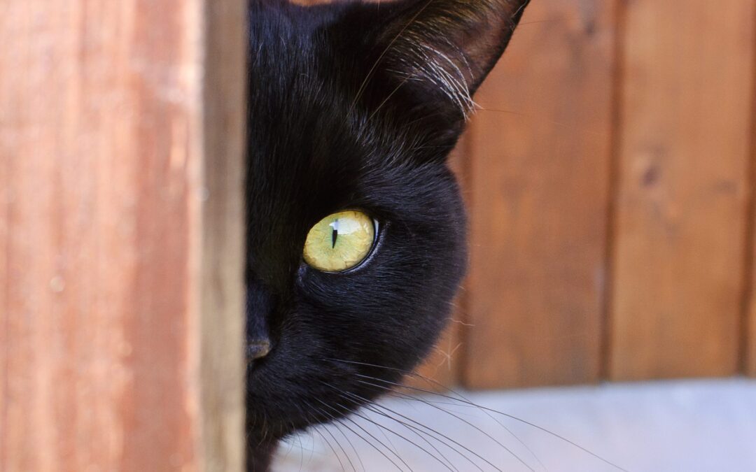 Curious