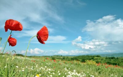 Act of Remembrance