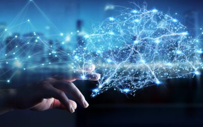 Connectivity