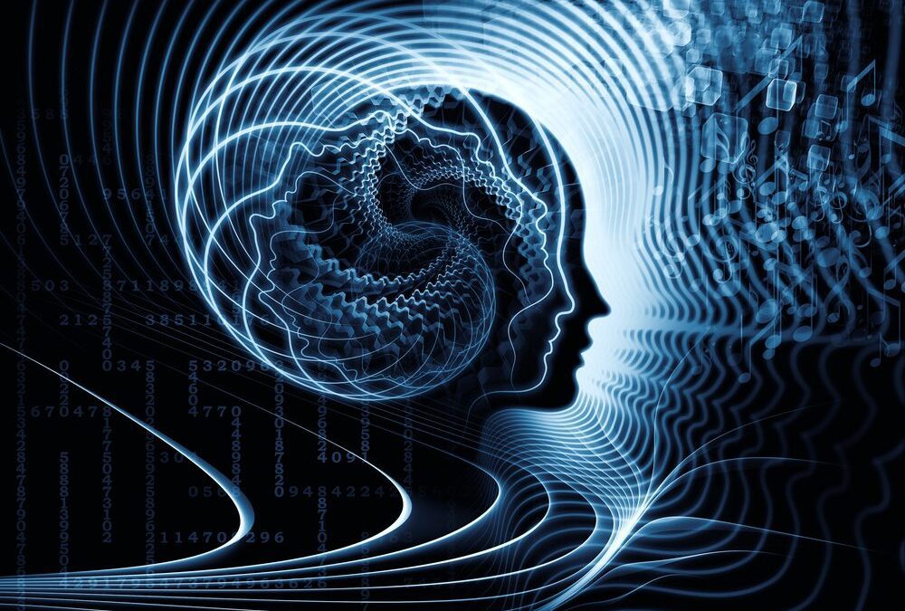 Evolving Consciousness