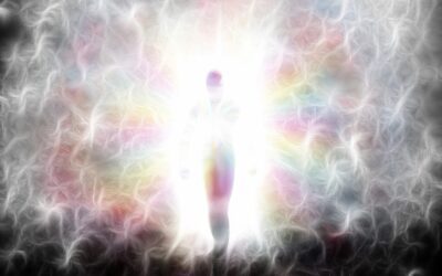 Consciousness Unveiled